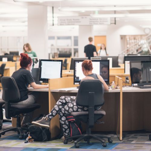 Students working on computers in the library